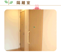 �u�����i�ʐ^�j